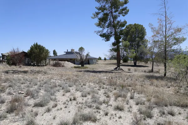 a view of a street with a tree