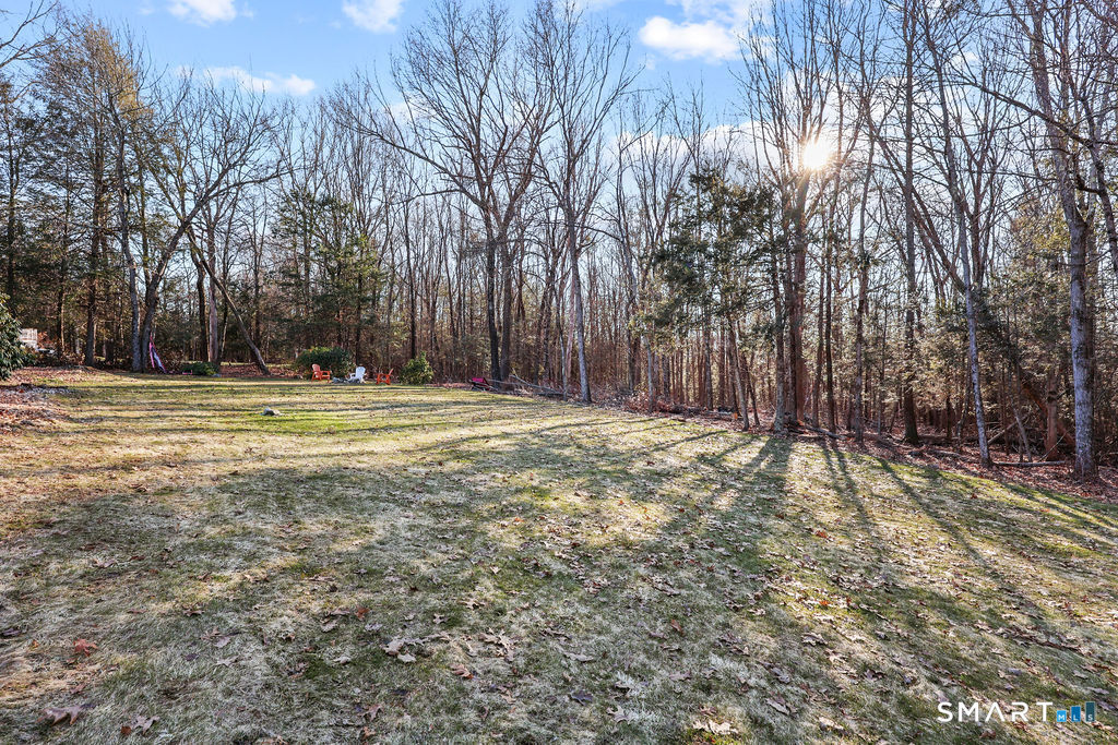 73 High Valley Drive Canton, CT 06019 - Photo 8 of 37 a view of outdoor space with trees