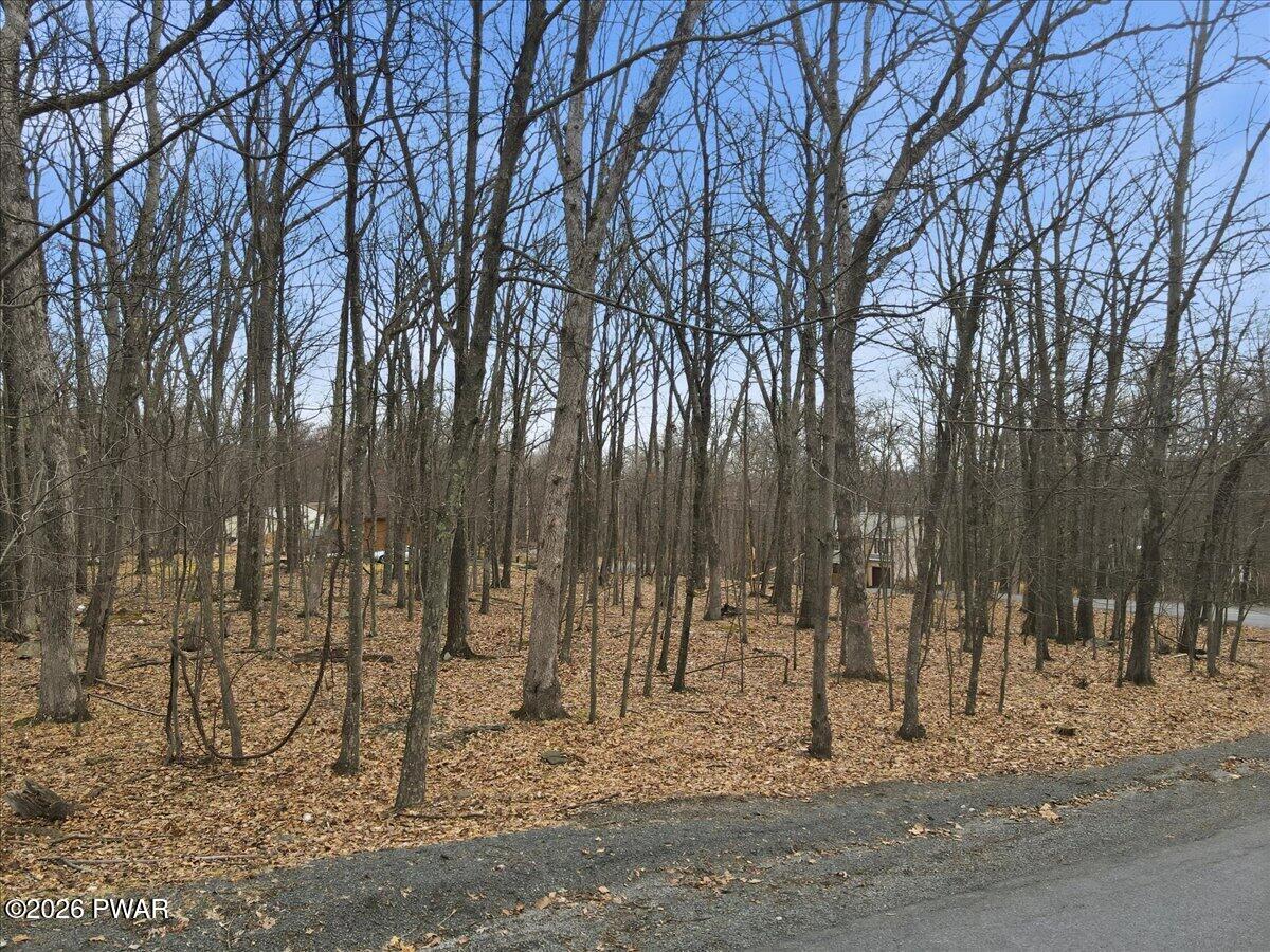 Lot 181 Whippoorwill Drive Bushkill, PA 18324 - Photo 3 of 6