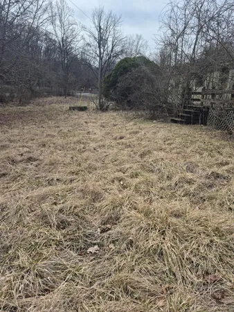 $37,500 | 2201 Lithia Road, Buchanan, VA 24066