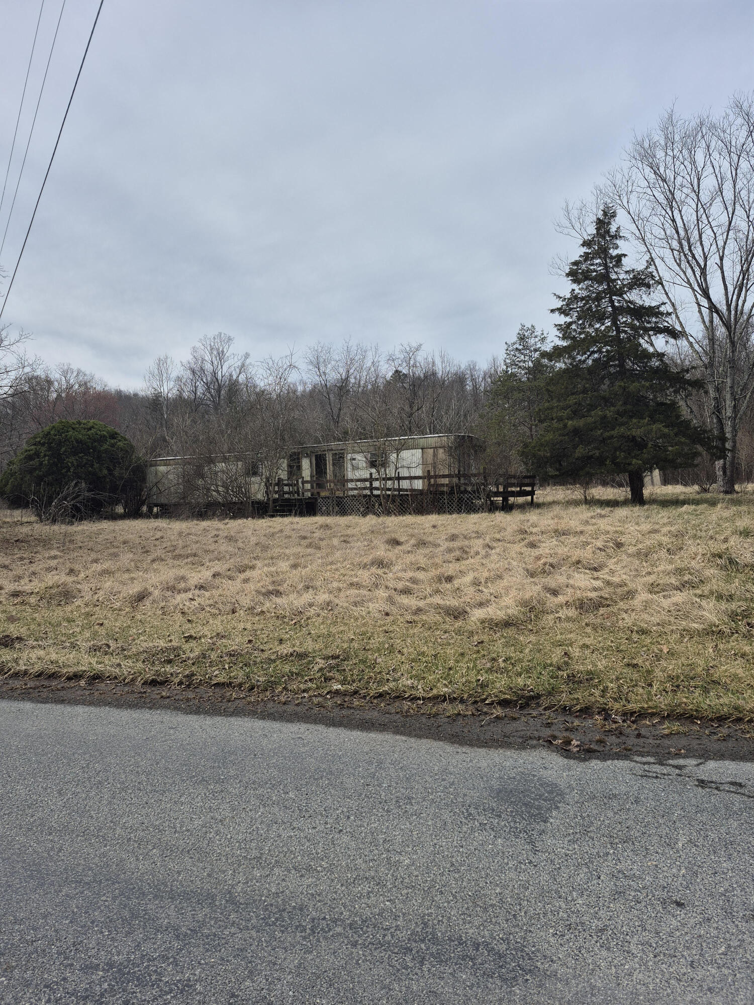 2201 Lithia Road Buchanan, VA 24066 - Photo 2 of 5 a view of lake