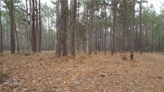 Tbd South Lane Ragley, LA 70657 - Photo 1 of 2