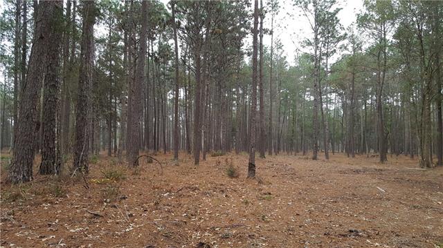 Tbd South Lane Ragley, LA 70657 - Photo 2 of 2