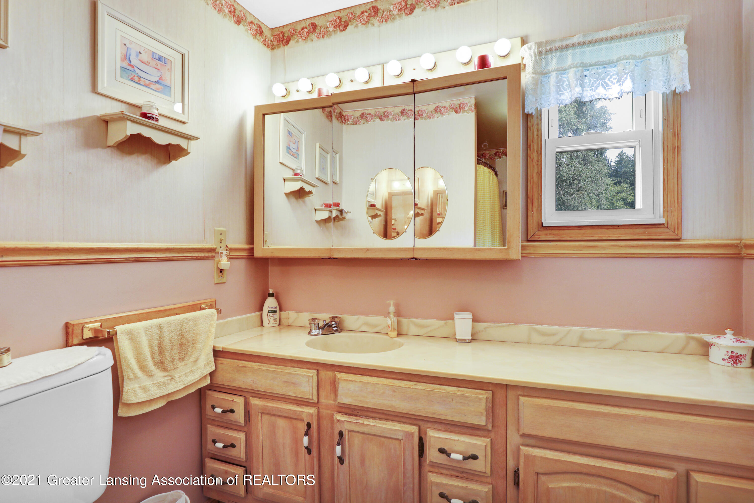 10561 South Chandler Road Dewitt, MI 48820 - Photo 20 of 46 Bathroom