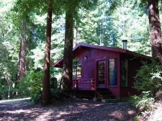 2065 Joy Ridge Road Occidental, CA 95465 - Photo 2 of 2 Gallery Image 2