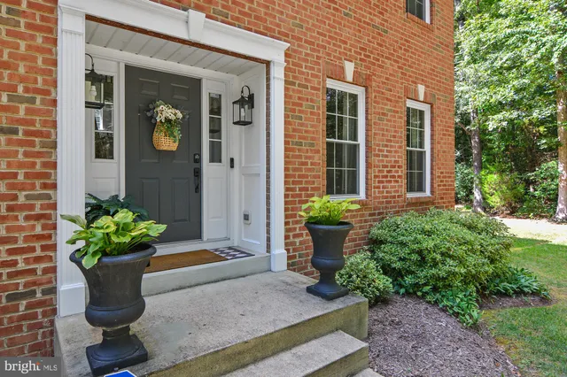 a potted plant sitting in front of a house
