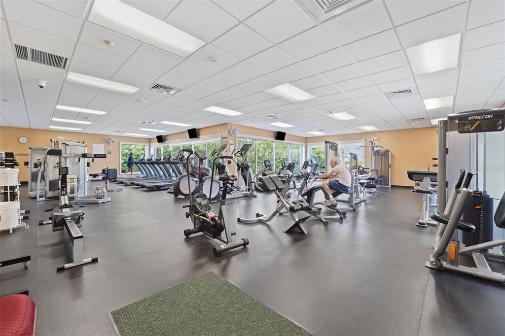 1031 Almondwood Drive Trinity, FL 34655 - Photo 34 of 49 a view of a room with gym equipment