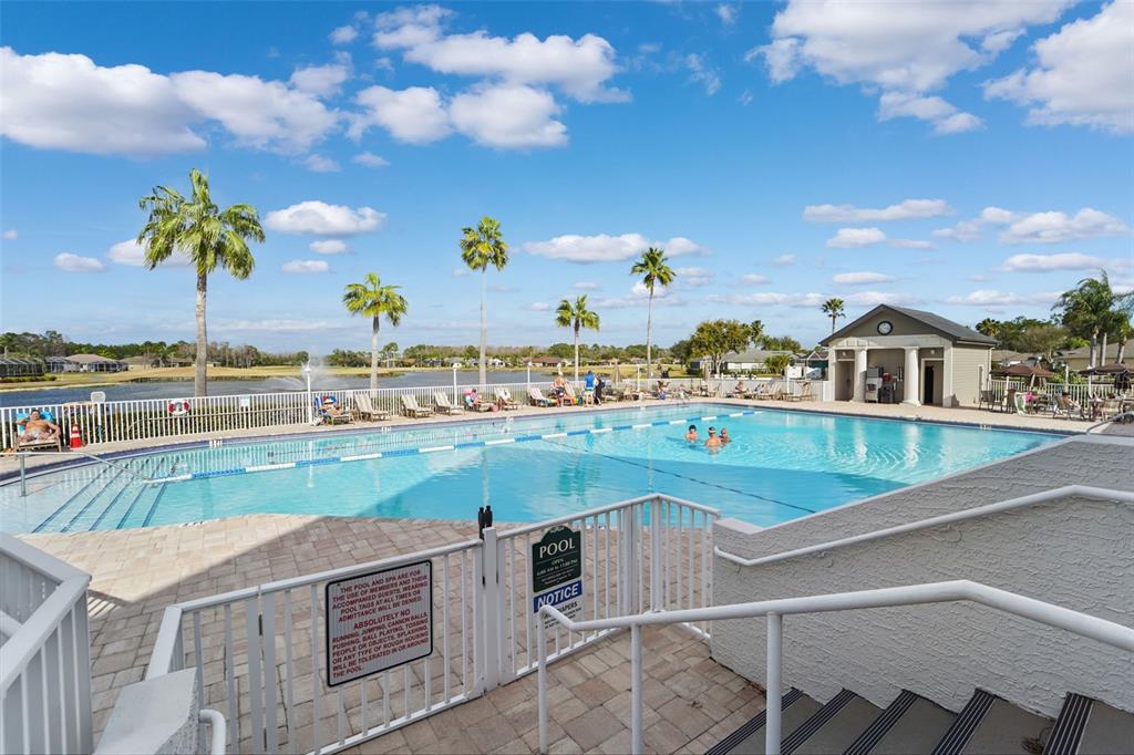 1031 Almondwood Drive Trinity, FL 34655 - Photo 43 of 49 a view of a swimming pool and an outdoor seating