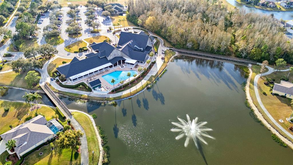 1031 Almondwood Drive Trinity, FL 34655 - Photo 45 of 49