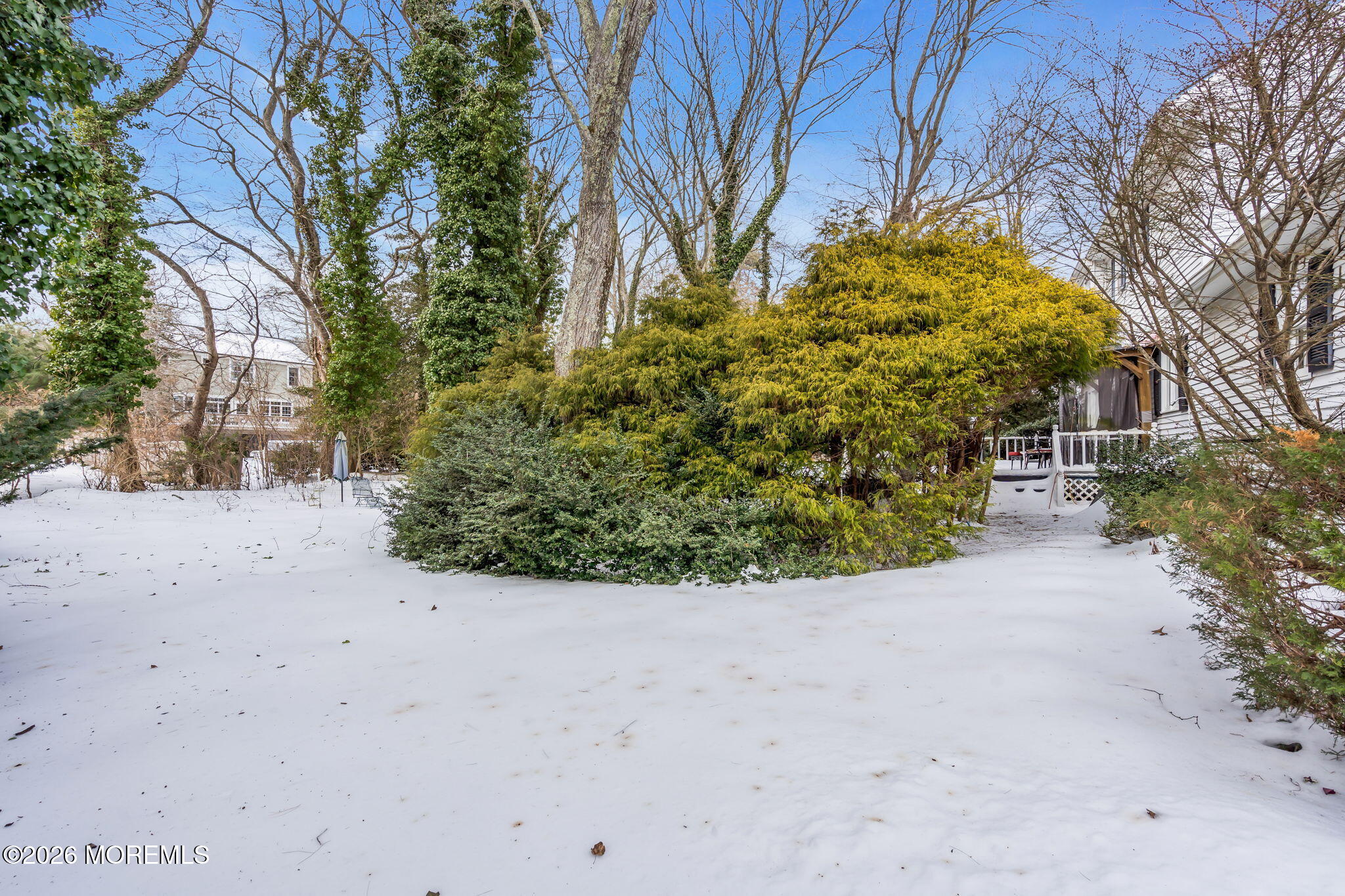 937 Birch Drive Brielle, NJ 08730 - Photo 38 of 48 Yard