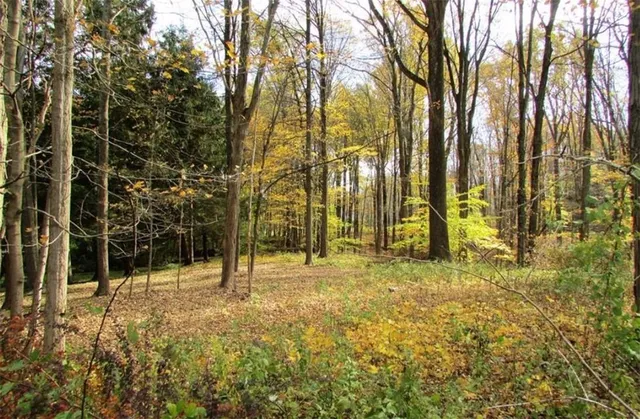 $60,000 | 202 Highway 100, Katonah, NY 10536