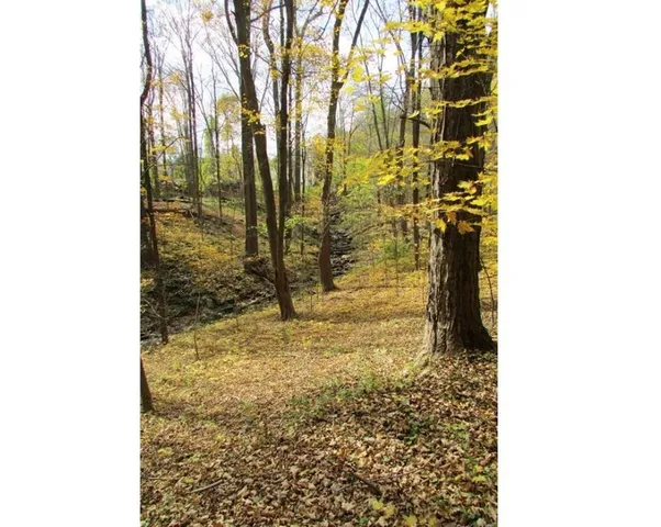 $60,000 | 202 Highway 100, Katonah, NY 10536