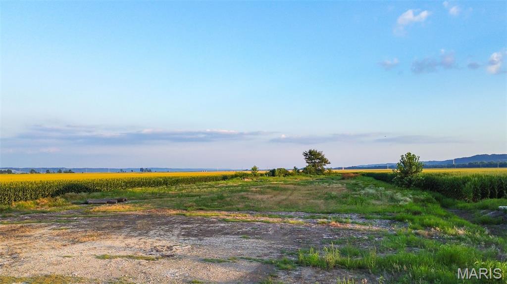 1059 State Route 16 Fieldon, IL 62031 - Photo 6 of 10