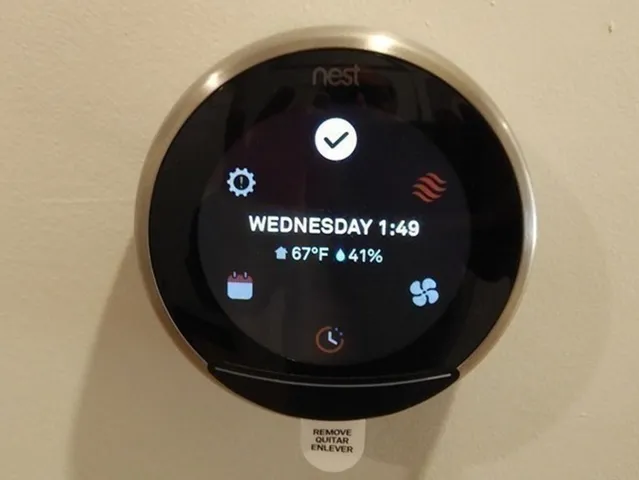 a view of a potted plant next to a window