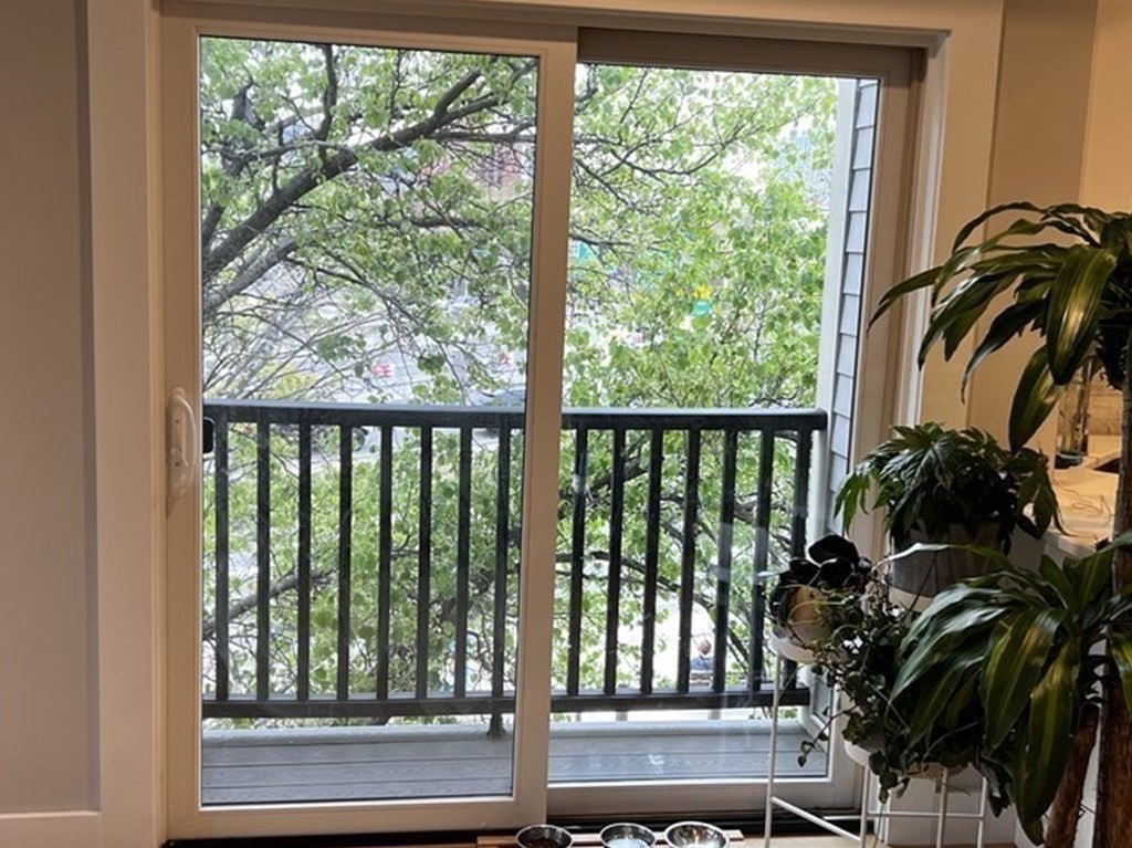 186 Havre Street, Unit 4 Boston, MA 02128 - Photo 12 of 16 a view of a potted plant next to a window