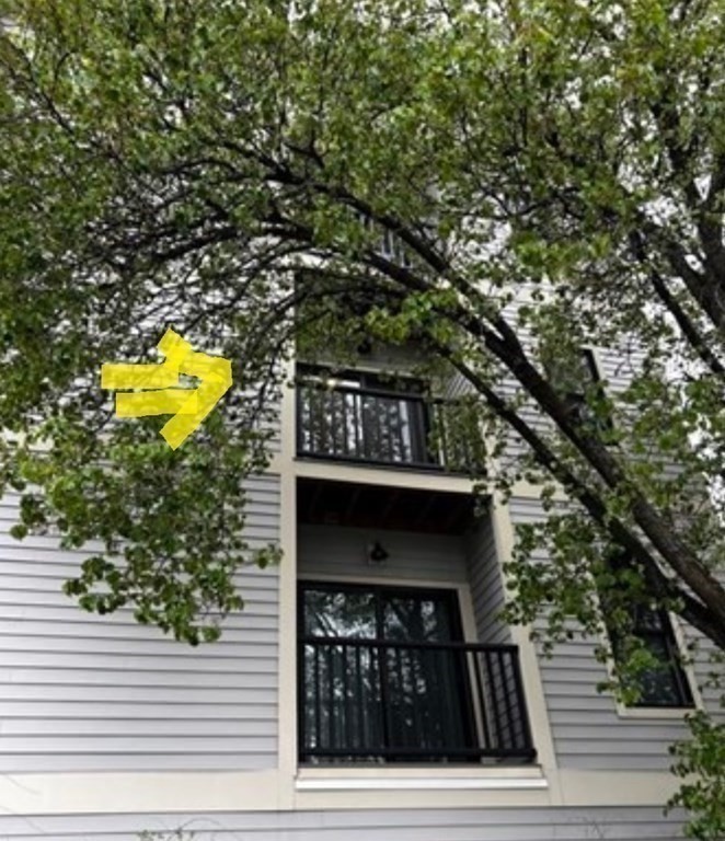 186 Havre Street, Unit 4 Boston, MA 02128 - Photo 13 of 16 a view of a back yard of the house
