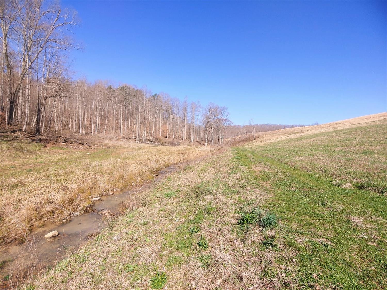 999 Pine Hill Brock Road London, KY 40741 - Photo 3 of 25 Photo 3