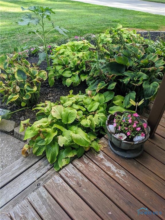 184 South River Road Waterville, OH 43566 - Photo 15 of 16 Gallery Image 15