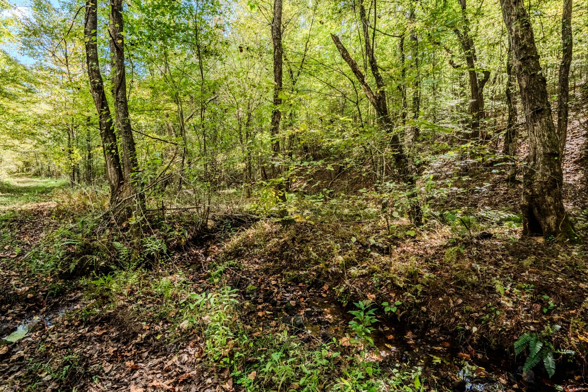 0 South Randall Road Westpoint, TN 38486 - Photo 56 of 79