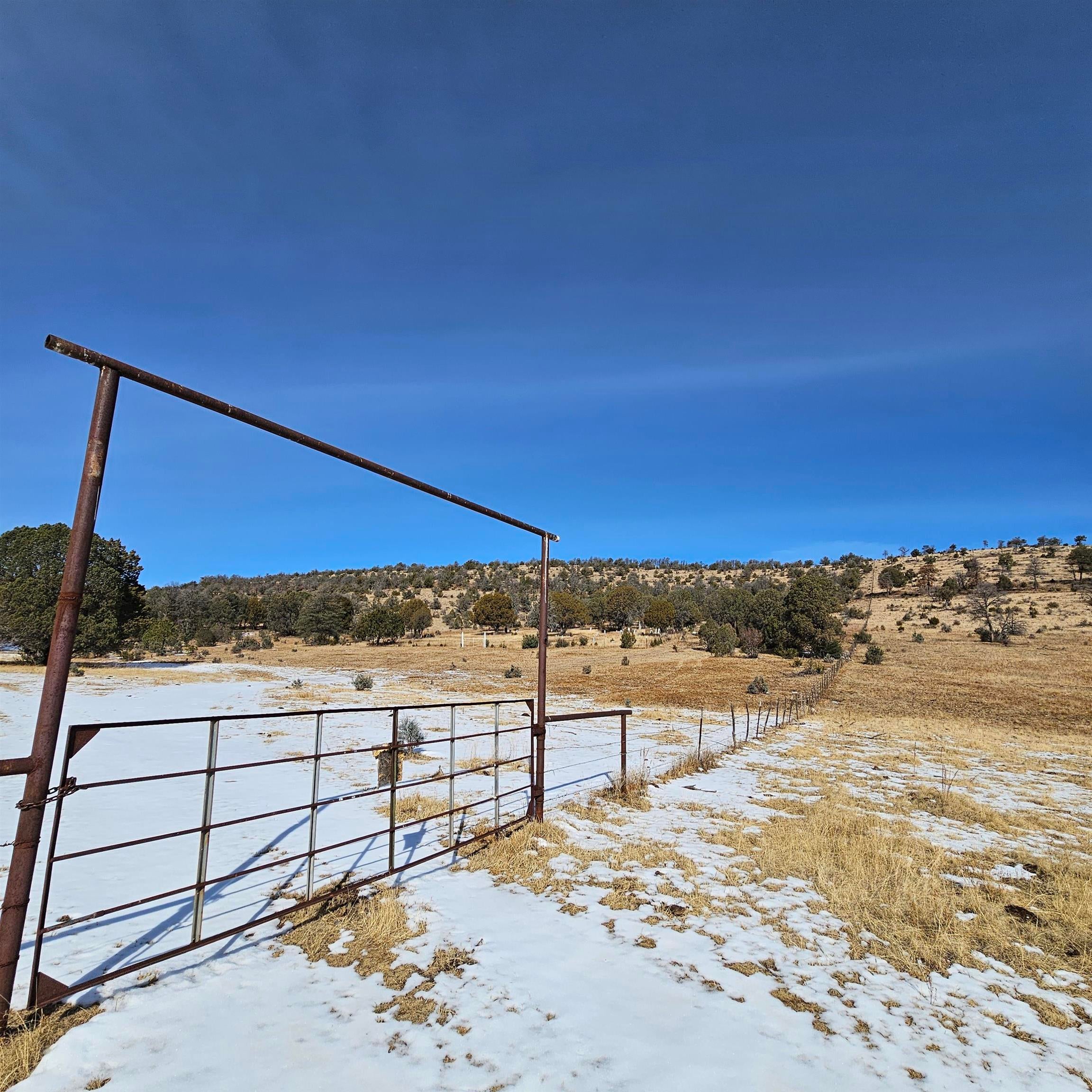 0 Miller Flats Road Mayhill, NM 88339 - Photo 22 of 39 Gallery Image 22