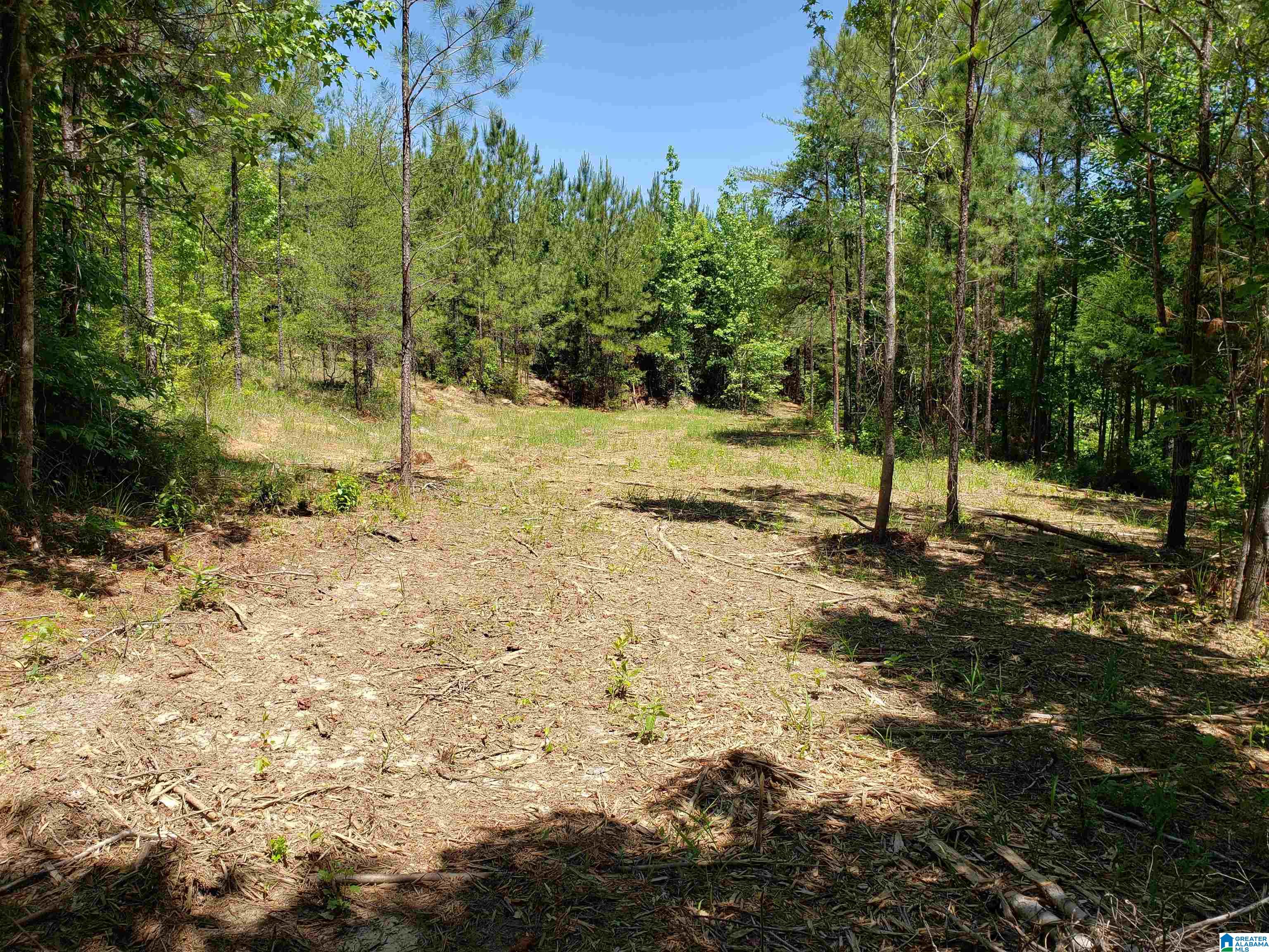 0 Clements Road, Unit 1 Cottondale, AL 35453 - Photo 2 of 16