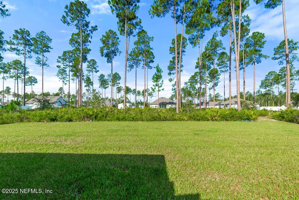 36012 Pitch Lane Hilliard, FL 32046 - Photo 43 of 54 a view of a big yard with plants and large trees