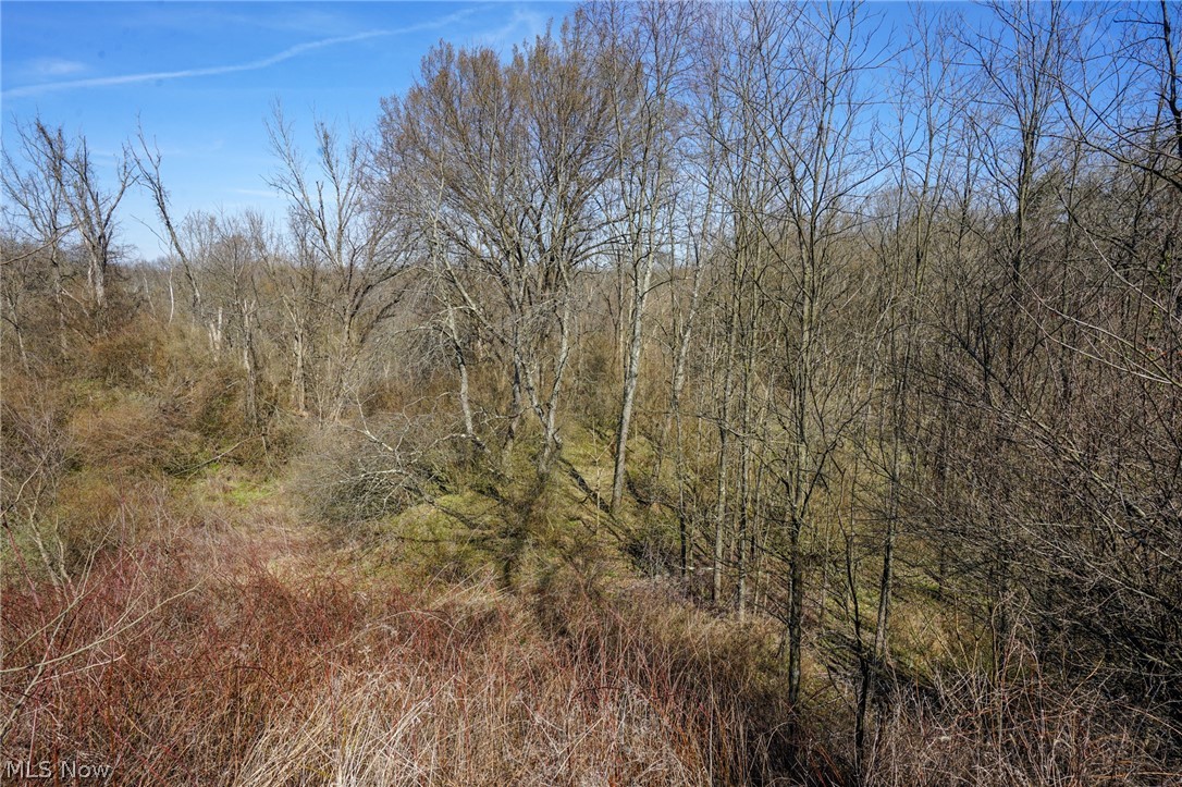 York Road Adena, OH 43901 - Photo 48 of 50 View of local wilderness