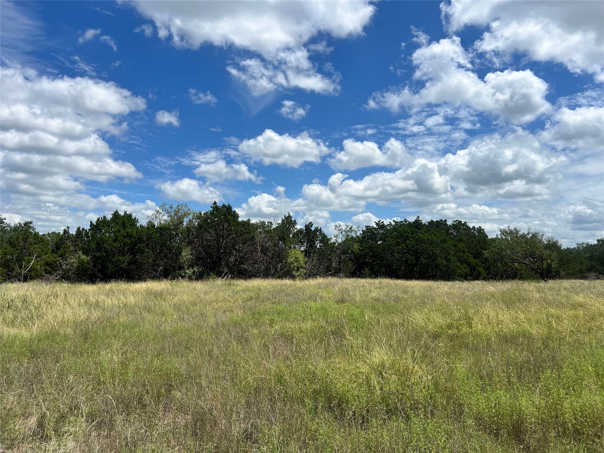 2452 Stone Creek Ranch Drive Evant, TX 76525 - Photo 5 of 19 The perfect place to build your home