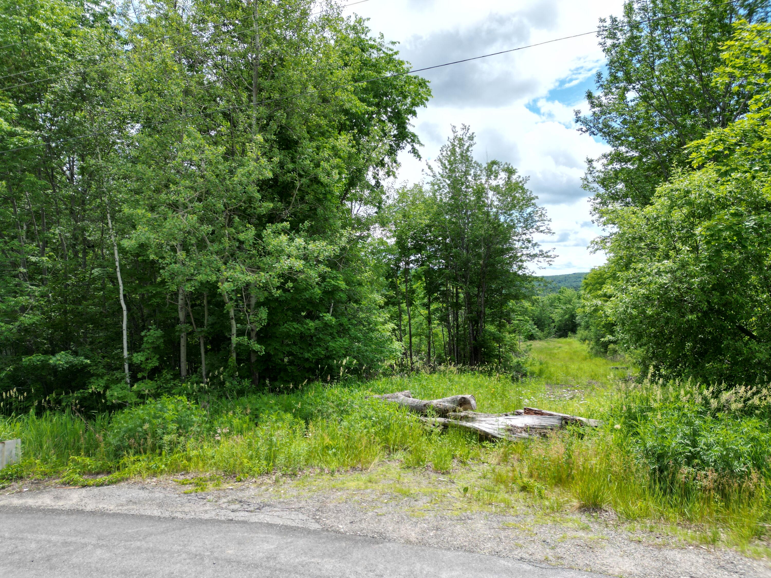 Lot 2 Main Road Carroll Plt, ME 04487 - Photo 5 of 14 DJI_0753