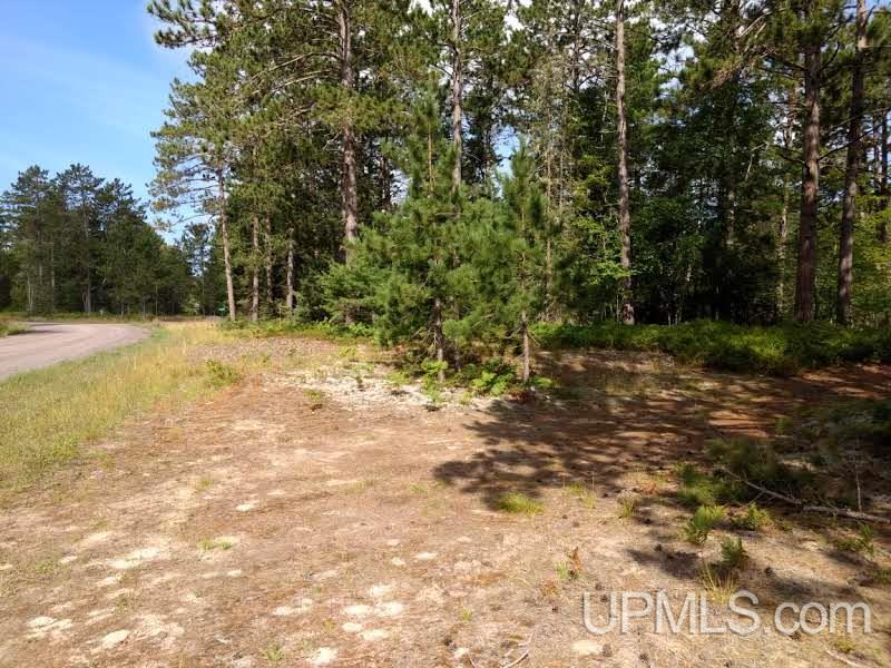 Unit 38-tbd Little Rice Lake Road, Unit 38 Lake Linden, MI 49945 - Photo 14 of 28