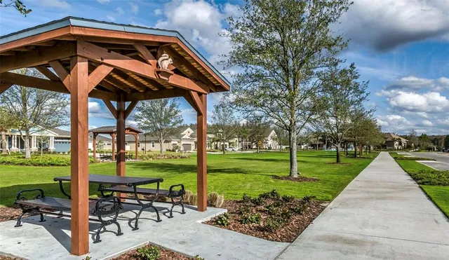 a view of a park with entertaining space