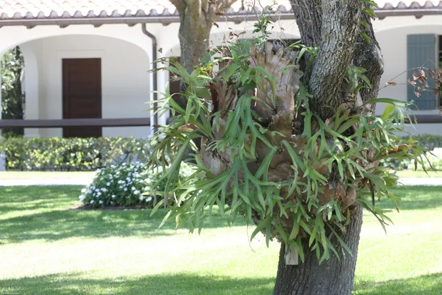 $21,500,000 | 14775 Equestrian Way, Wellington, FL 33414