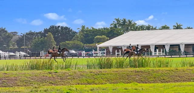 $21,500,000 | 14775 Equestrian Way, Wellington, FL 33414