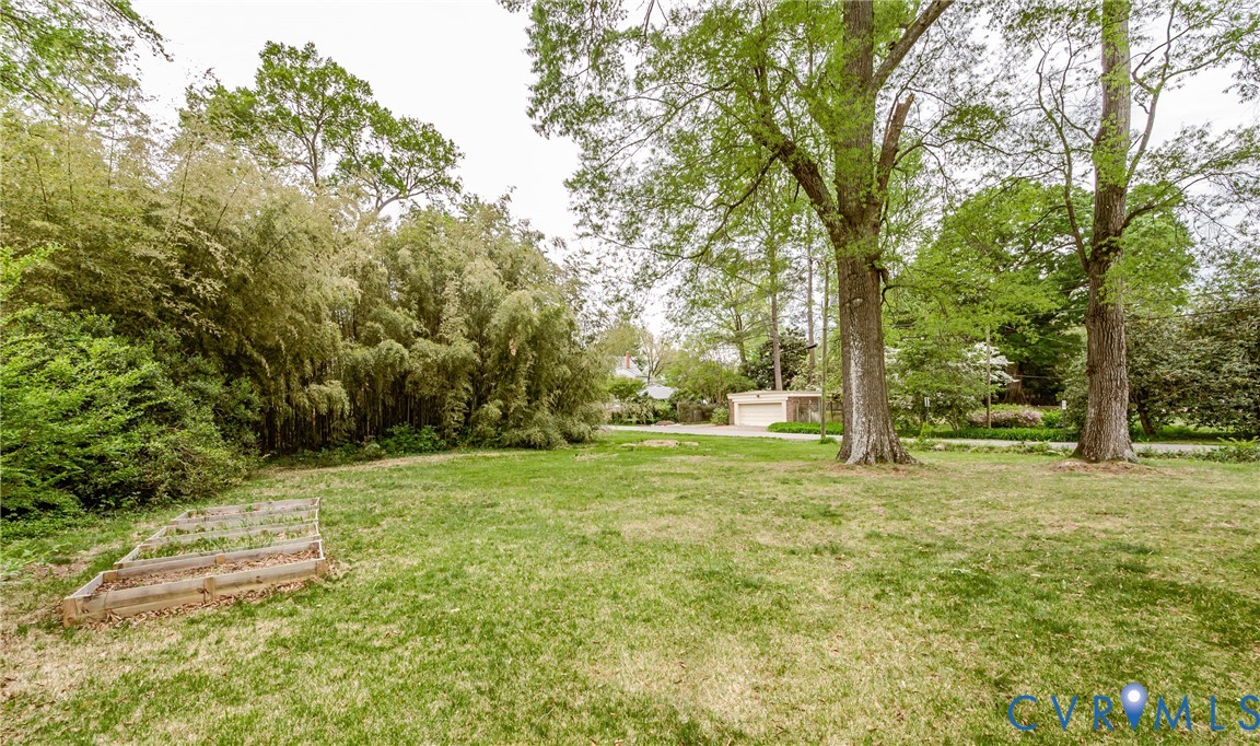 401 Caroline Street Ashland, VA 23005 - Photo 60 of 63 a view of a trees with a yard