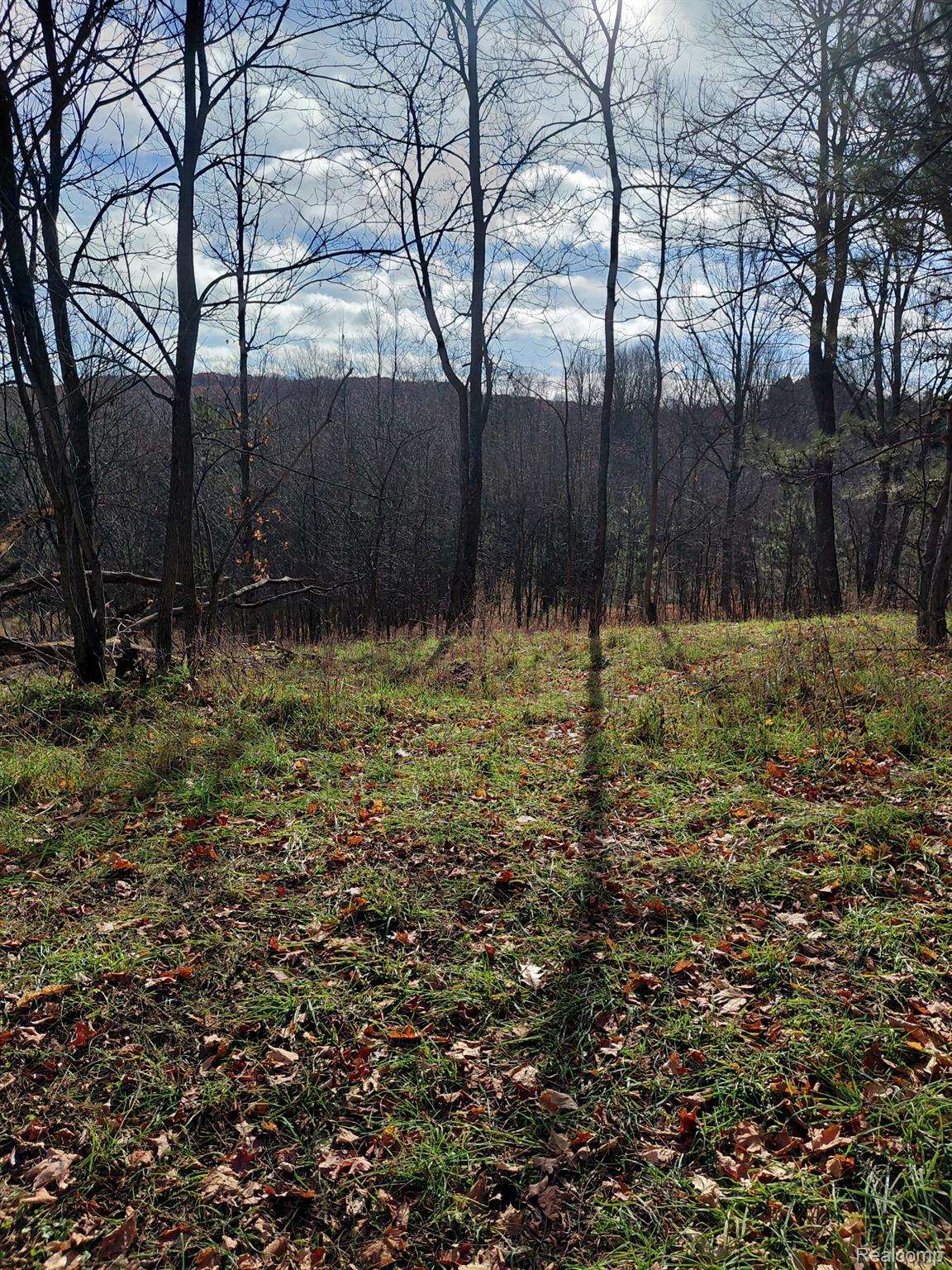 4547 Potter Road Bear Lake, MI 49614 - Photo 2 of 7 Potter 7.jpg