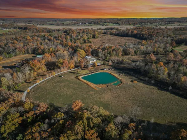 a view of a house with a yard and plants