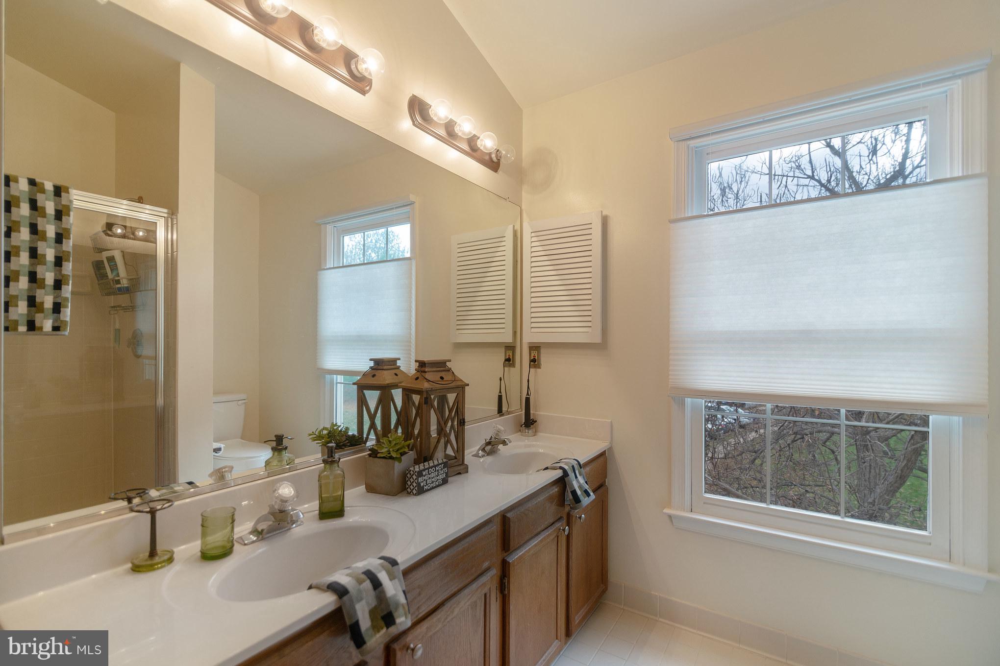 46918 Rabbitrun Terrace Sterling, VA 20164 - Photo 22 of 31 Large Master Bathroom w/ Soaking Tub and Shower