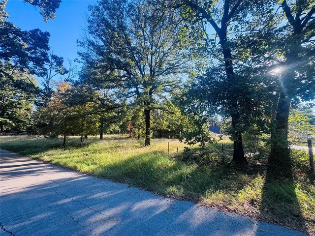 a view of a yard with large trees