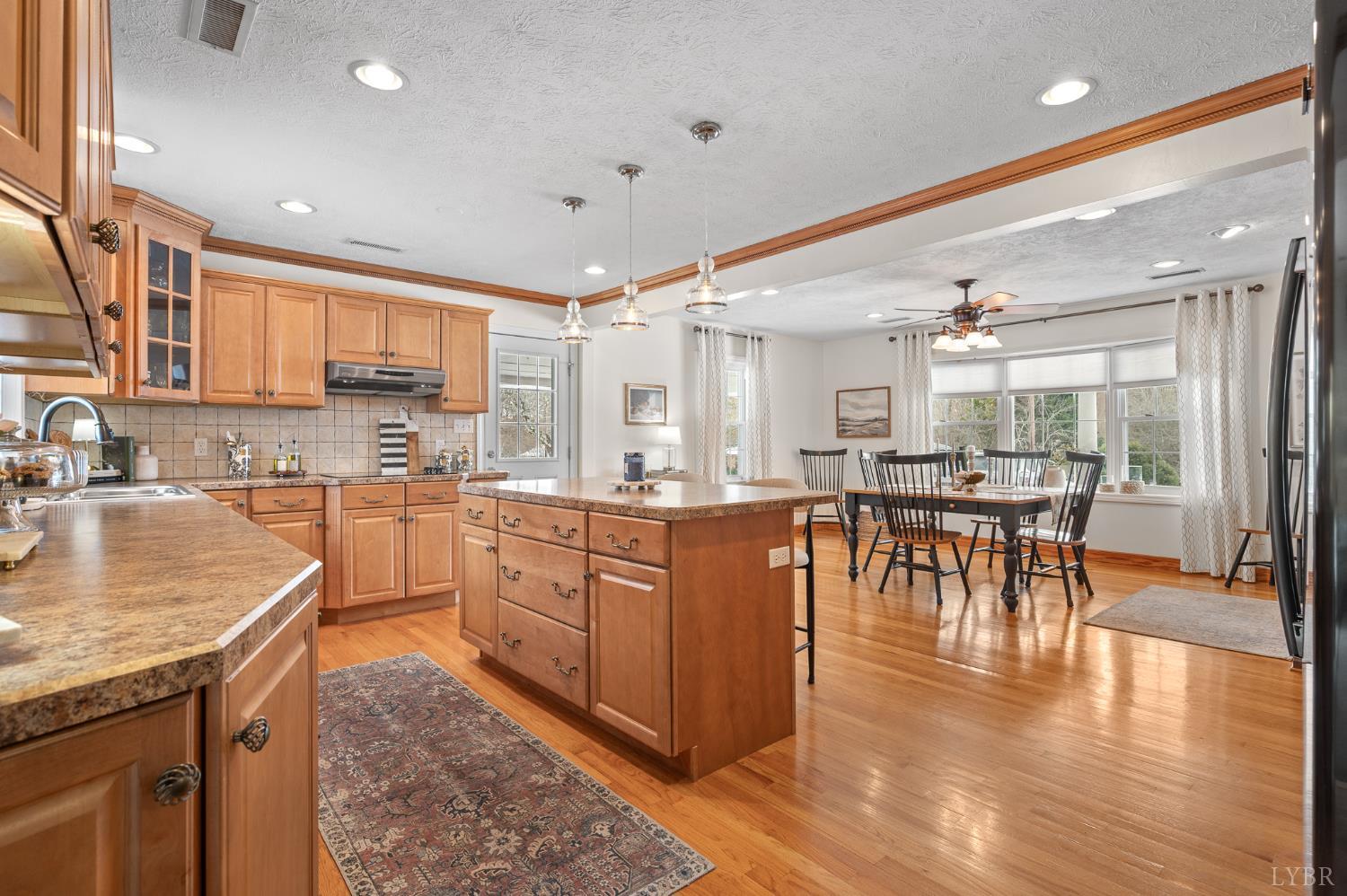 250 Lakeview Road Appomattox, VA 24522 - Photo 14 of 51