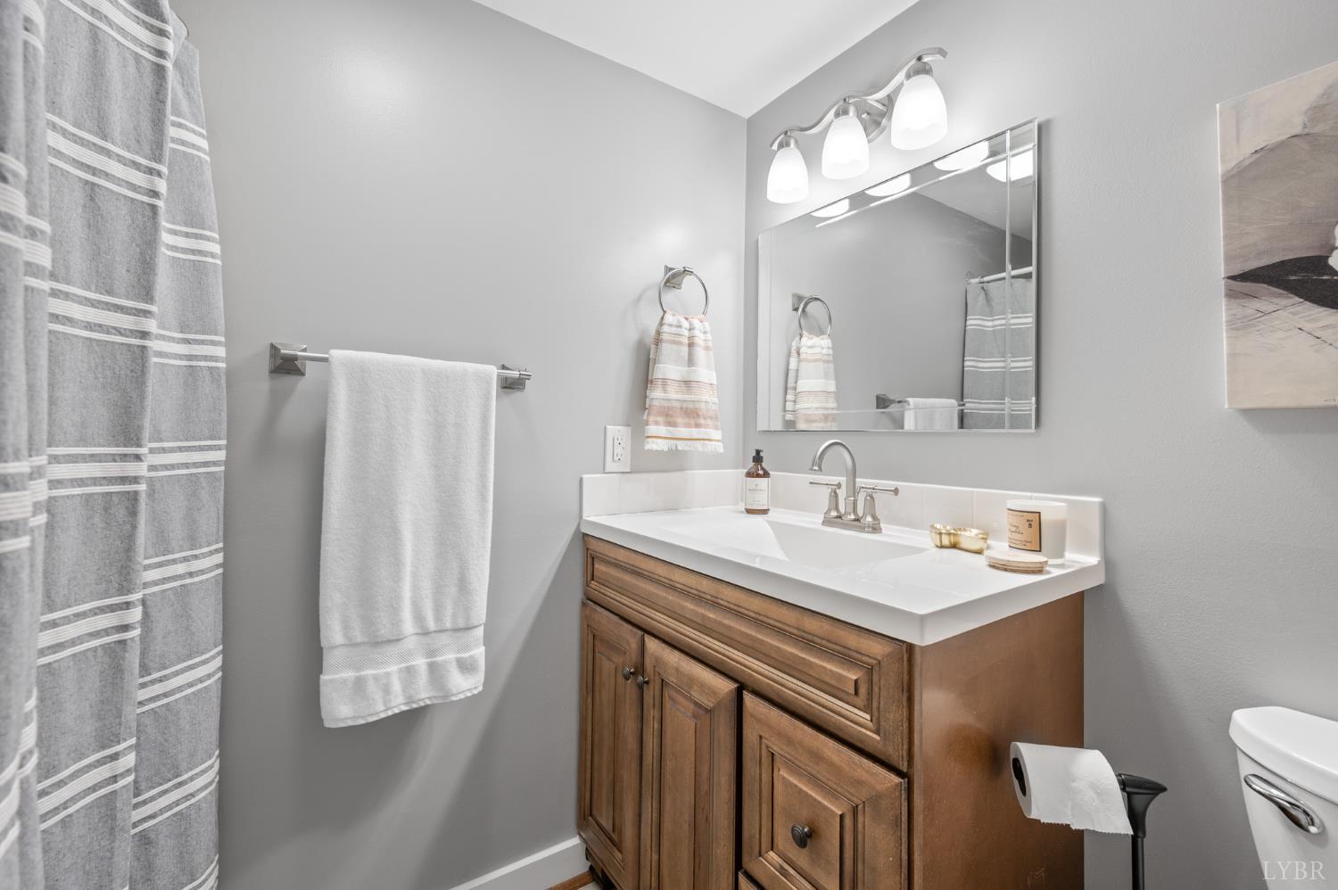 250 Lakeview Road Appomattox, VA 24522 - Photo 39 of 51