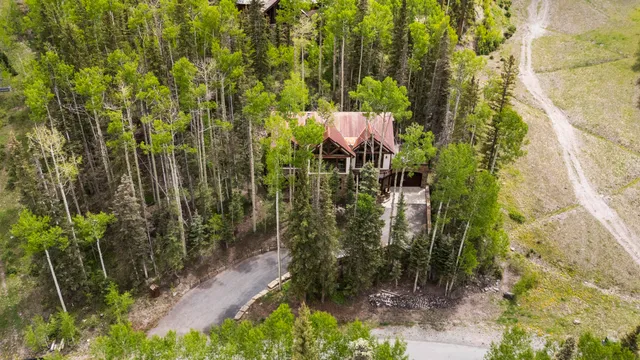 a view of a garden from a building