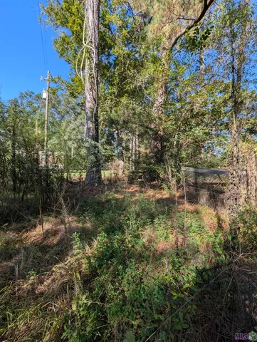 $150,000 | 23154 Joe May Road, Denham Springs, LA 70726