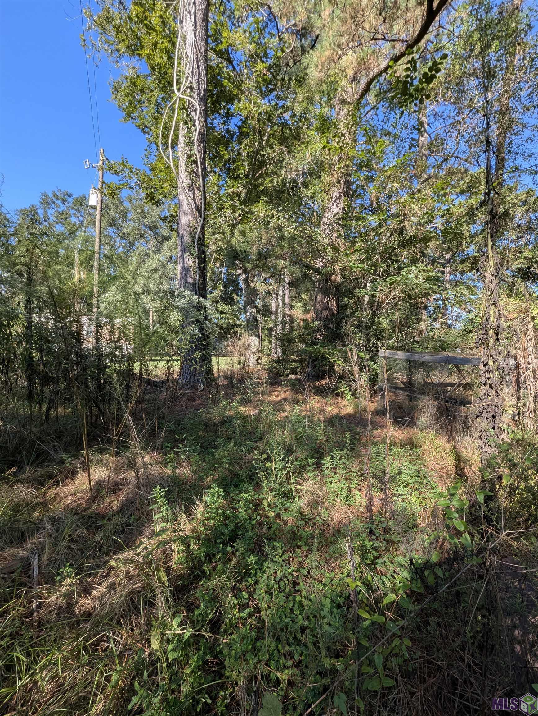 23154 Joe May Road Denham Springs, LA 70726 - Photo 14 of 19