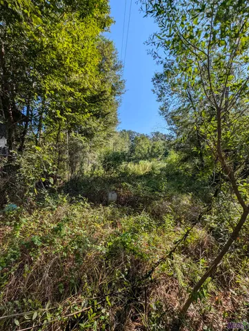 $150,000 | 23154 Joe May Road, Denham Springs, LA 70726