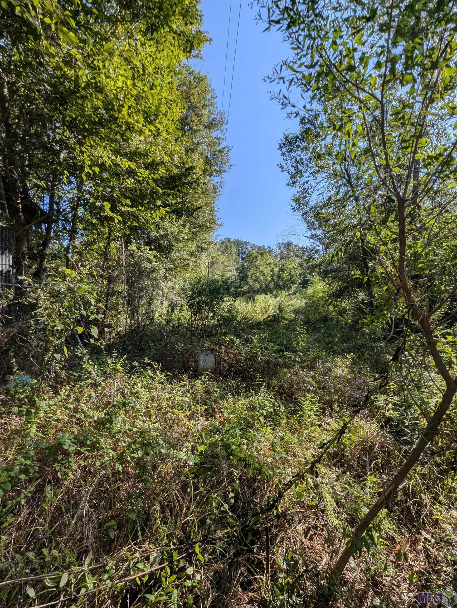 23154 Joe May Road Denham Springs, LA 70726 - Photo 16 of 19