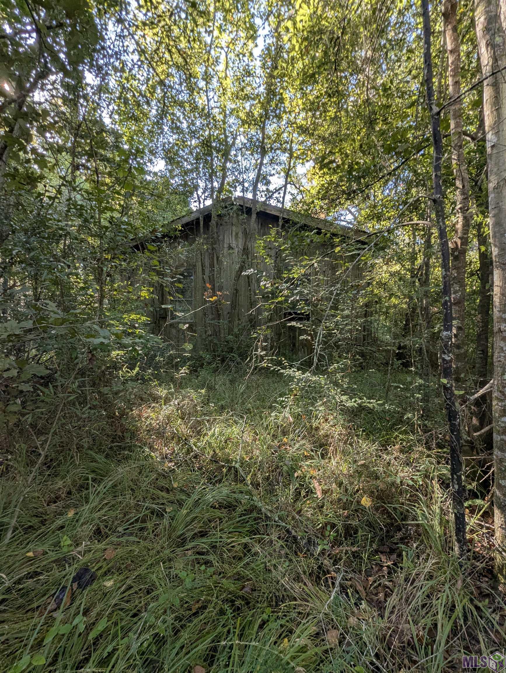 23154 Joe May Road Denham Springs, LA 70726 - Photo 17 of 19