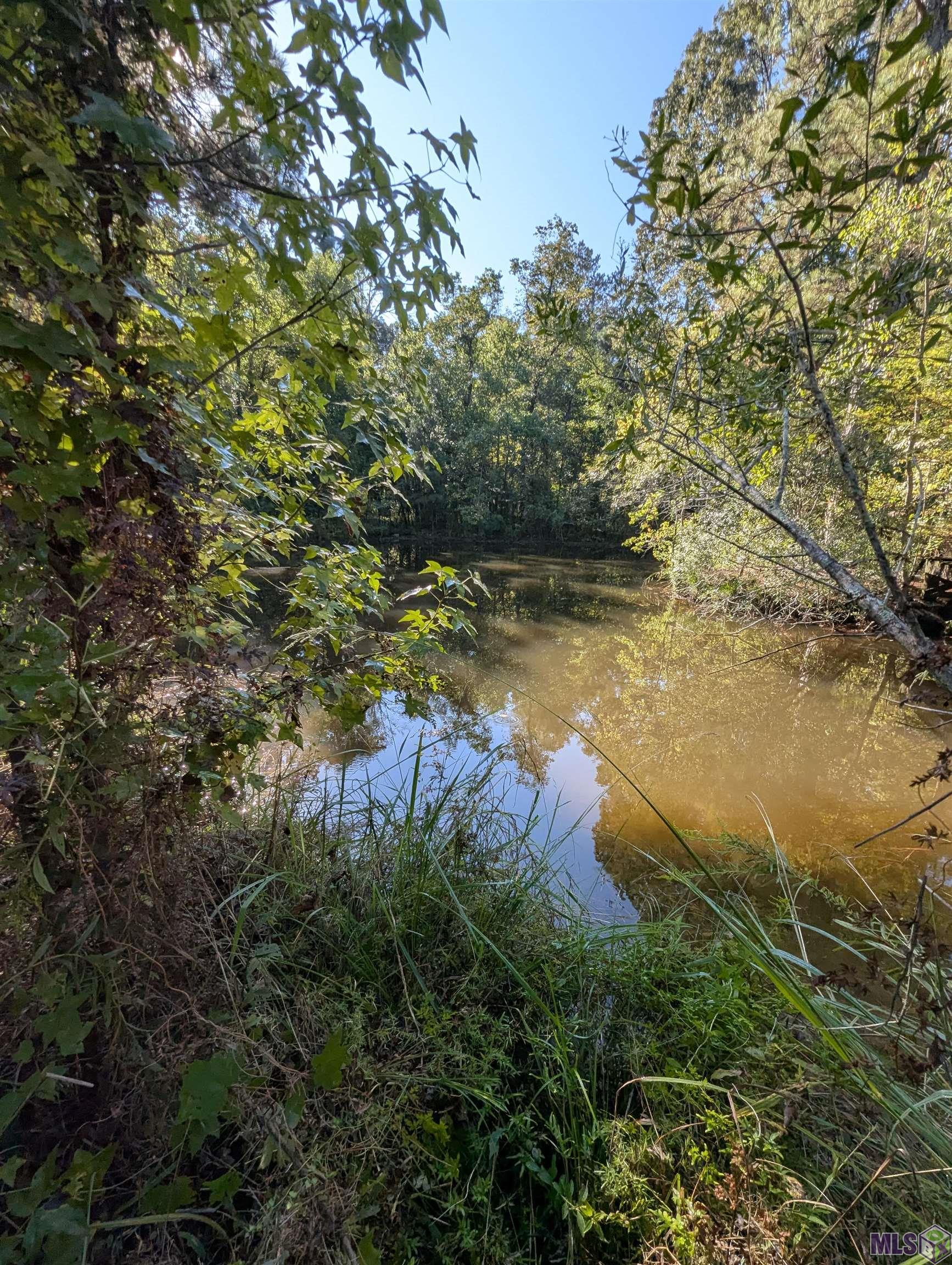 23154 Joe May Road Denham Springs, LA 70726 - Photo 18 of 19