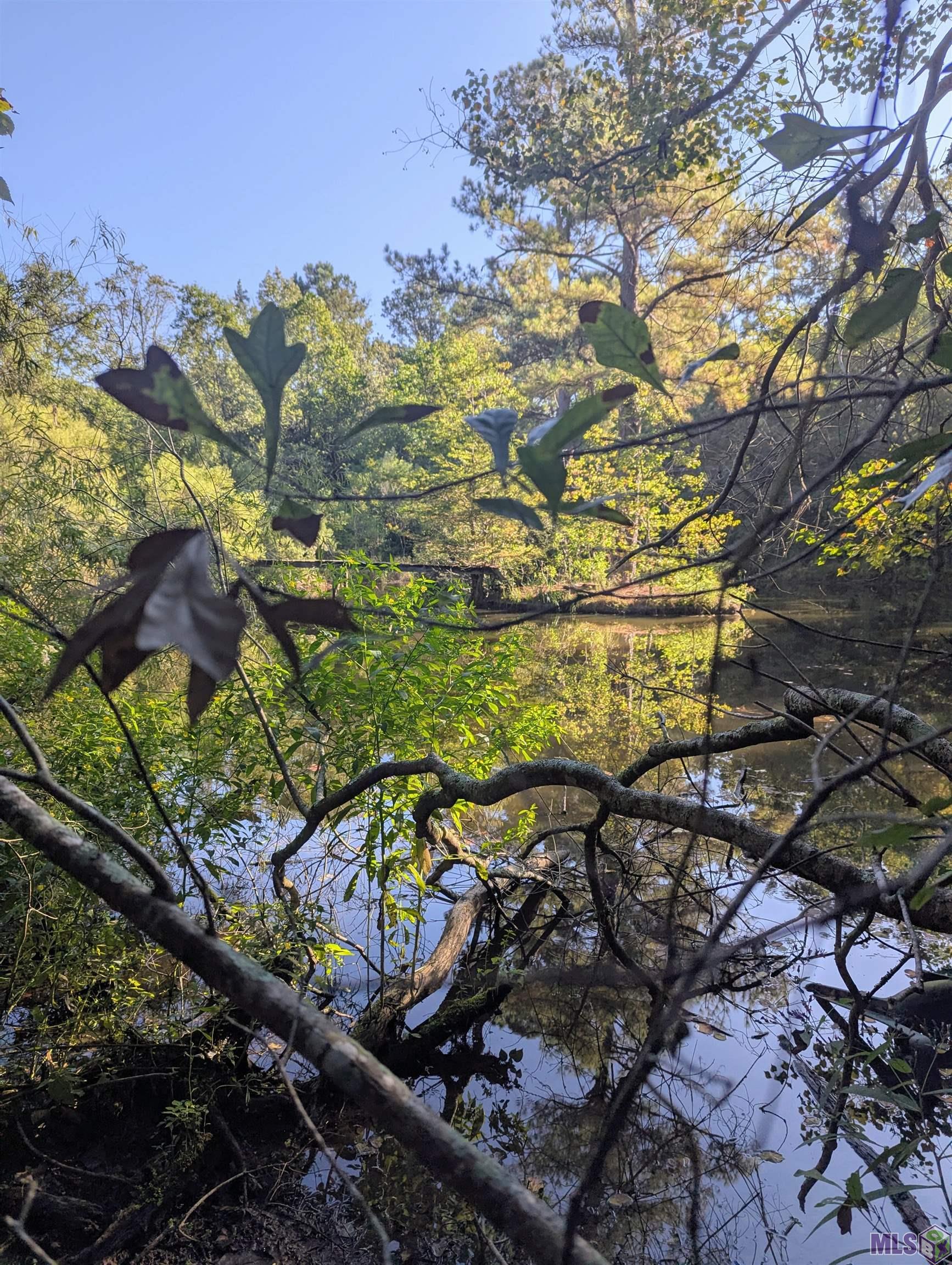 23154 Joe May Road Denham Springs, LA 70726 - Photo 19 of 19