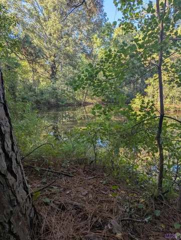 $150,000 | 23154 Joe May Road, Denham Springs, LA 70726