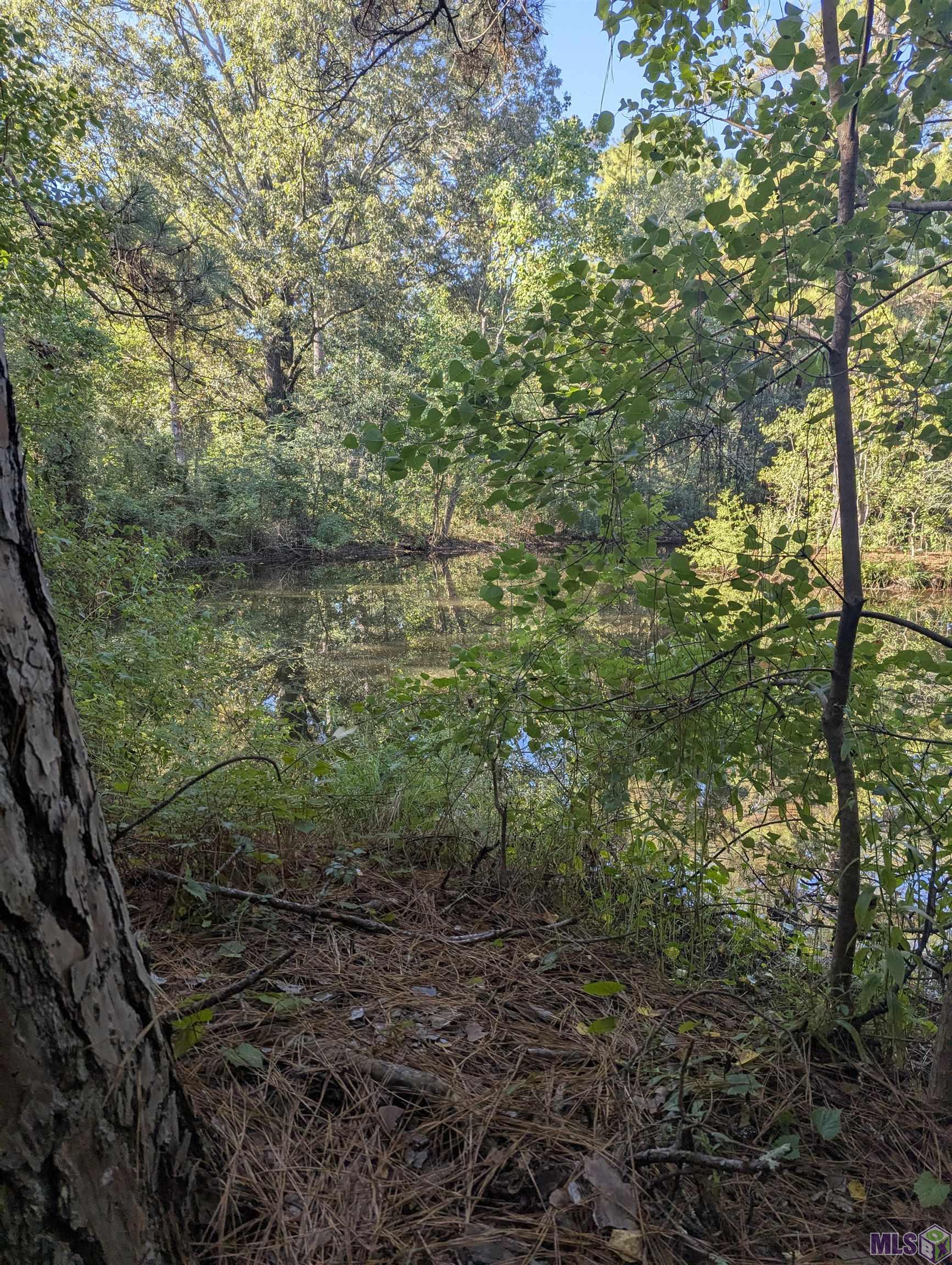 23154 Joe May Road Denham Springs, LA 70726 - Photo 2 of 19